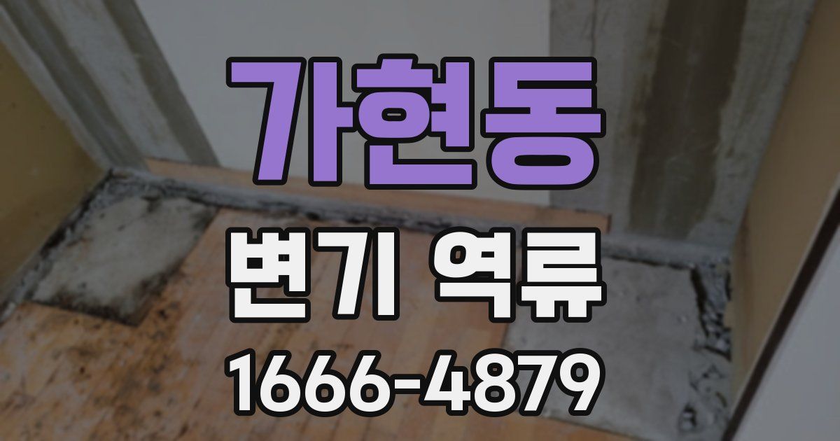 가현동 변기 역류