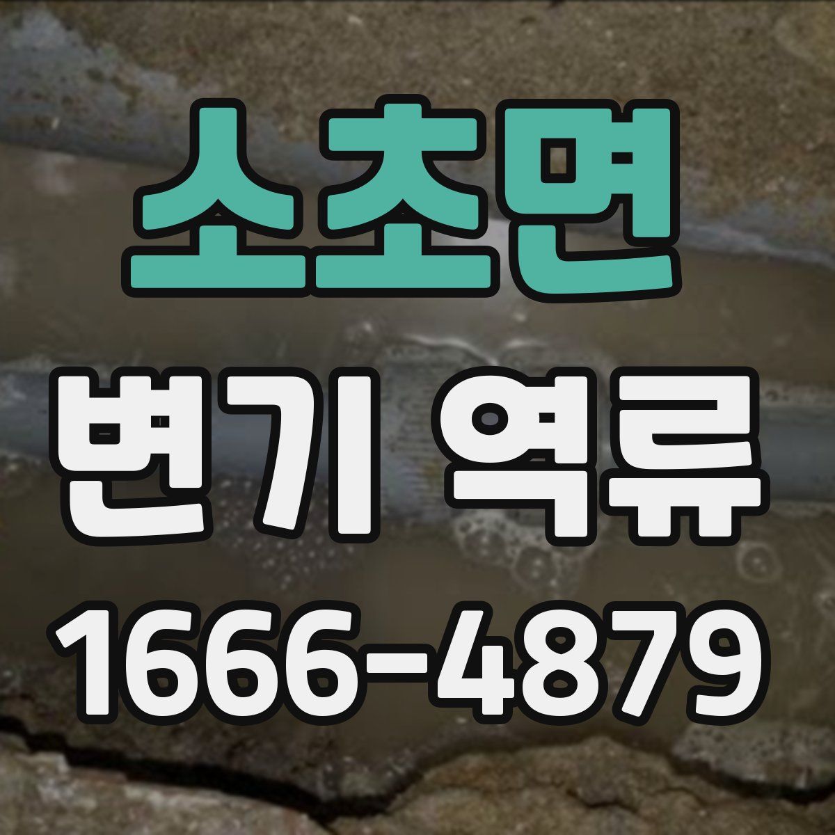 소초면 변기 역류