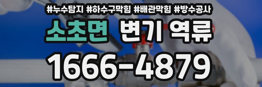 소초면 변기 역류
