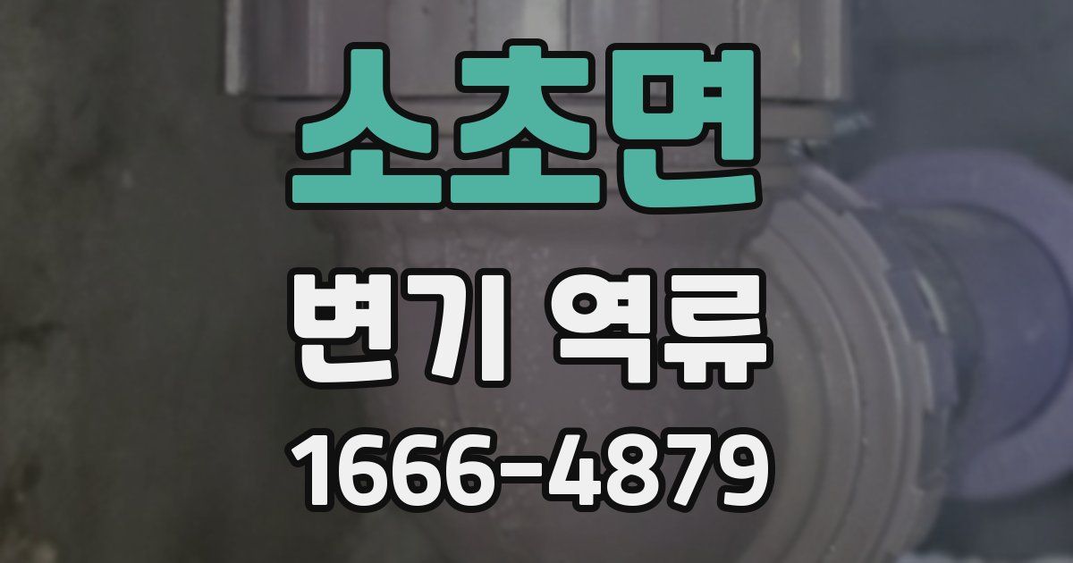 소초면 변기 역류