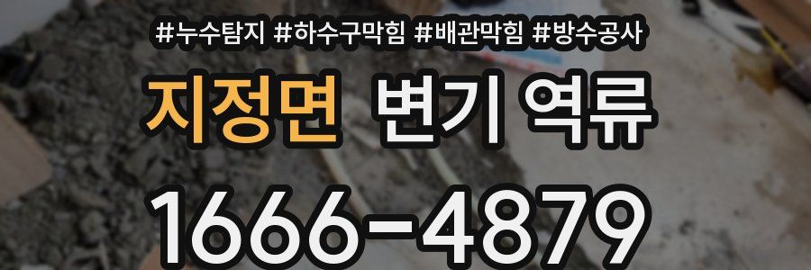 지정면 변기 역류