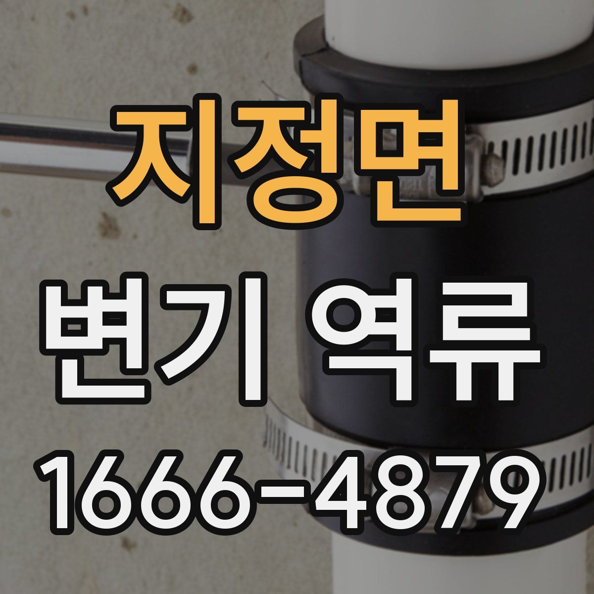 지정면 변기 역류