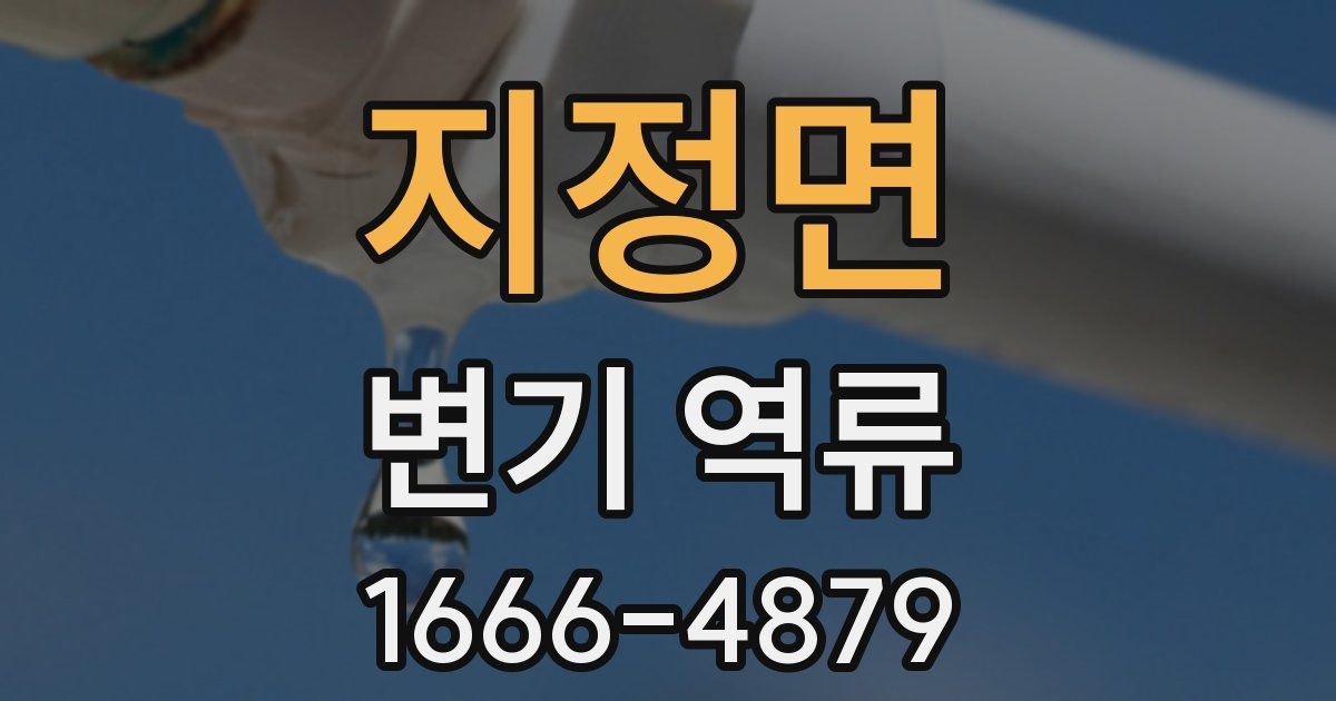 지정면 변기 역류