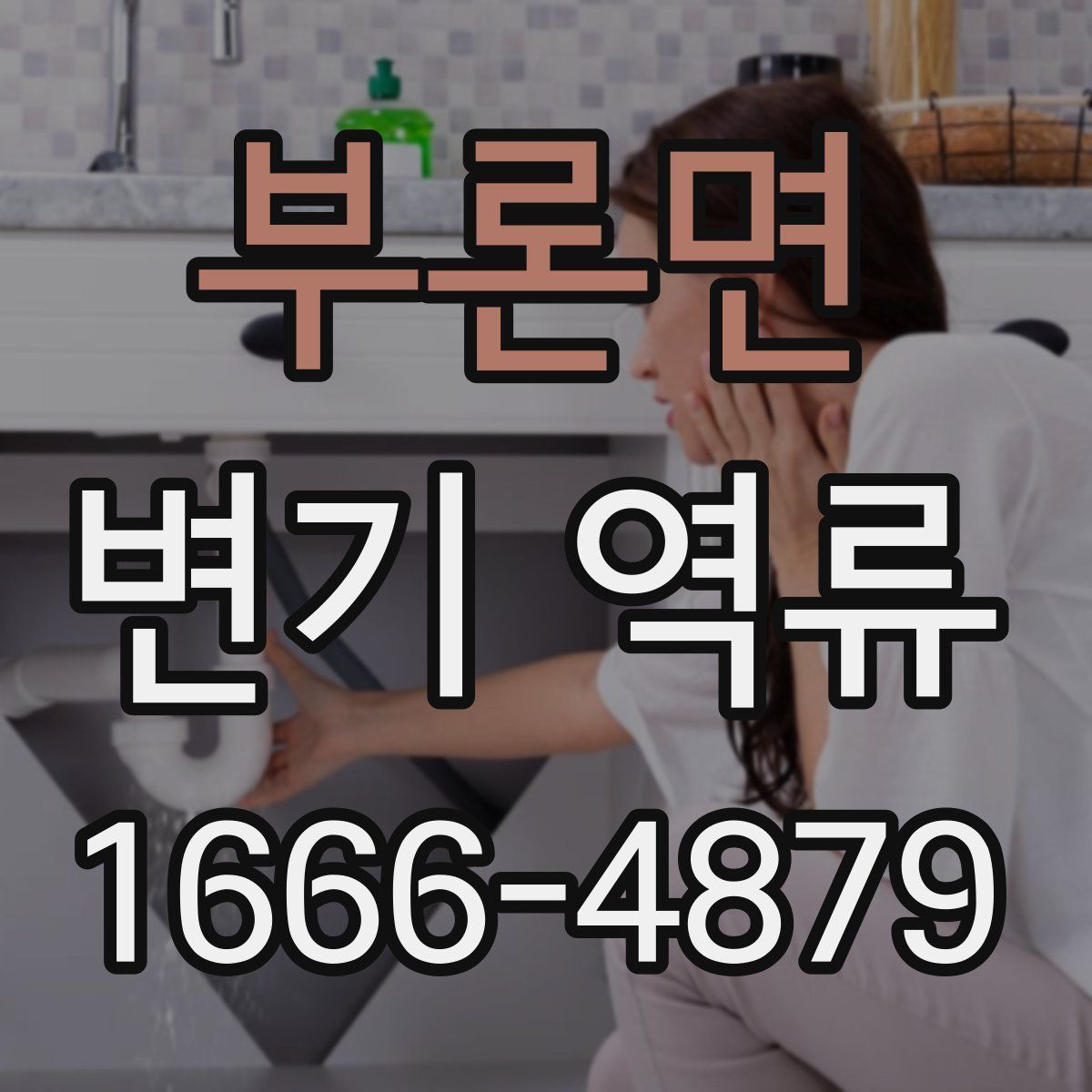 부론면 변기 역류