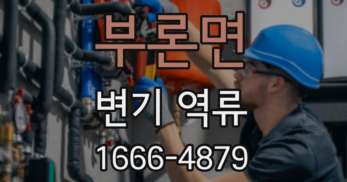 부론면 변기 역류