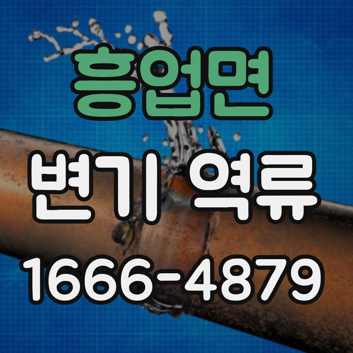 흥업면 변기 역류