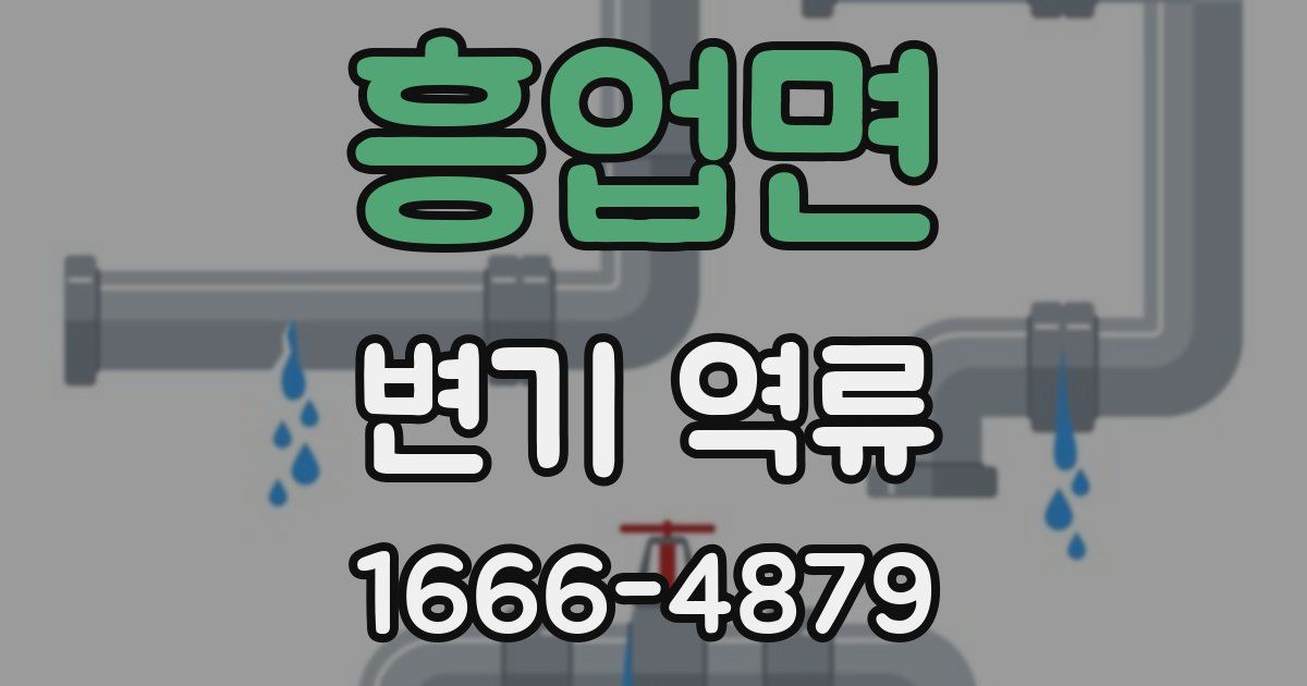 흥업면 변기 역류