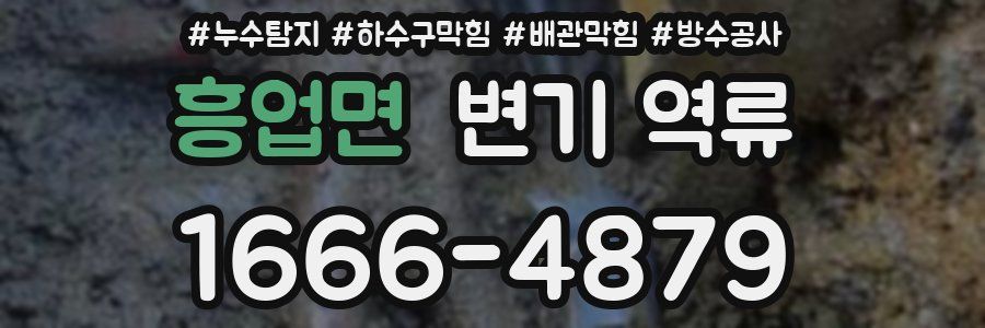 흥업면 변기 역류