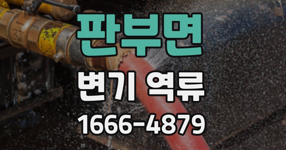 판부면 변기 역류