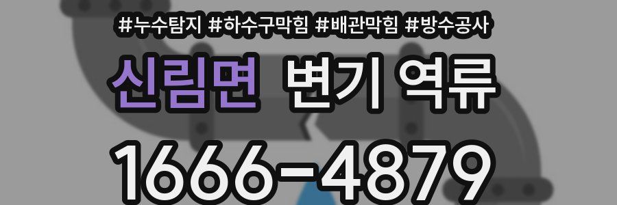 신림면 변기 역류