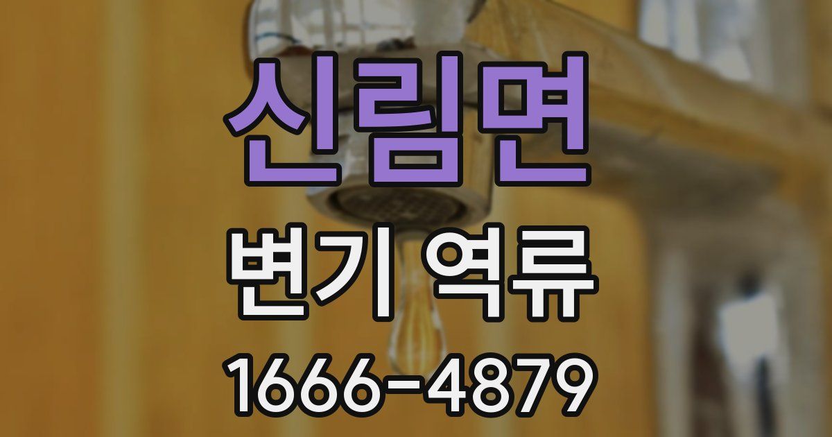 신림면 변기 역류