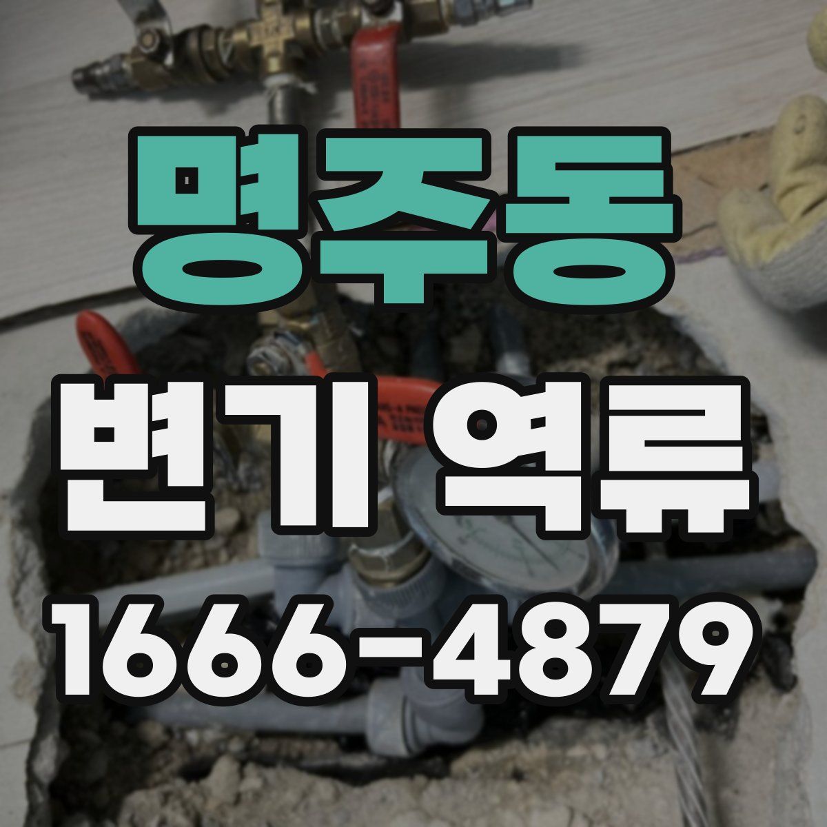 명주동 변기 역류