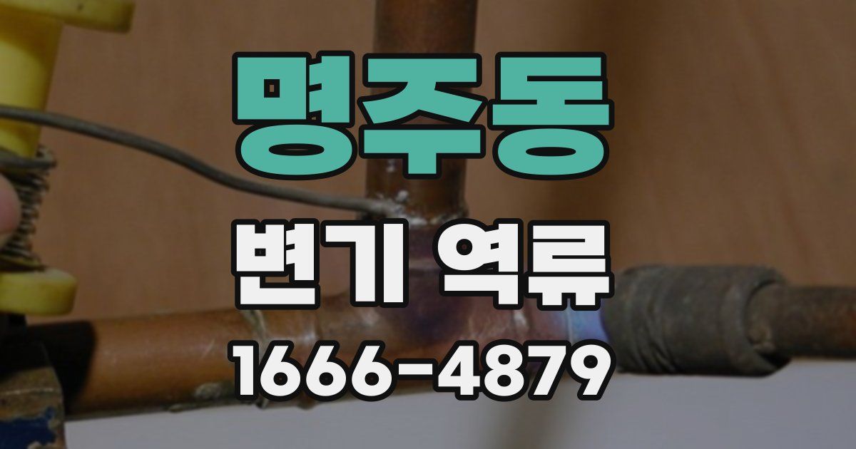 명주동 변기 역류