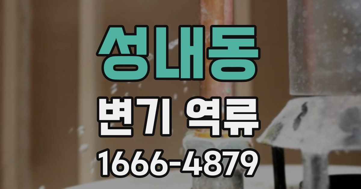성내동 변기 역류