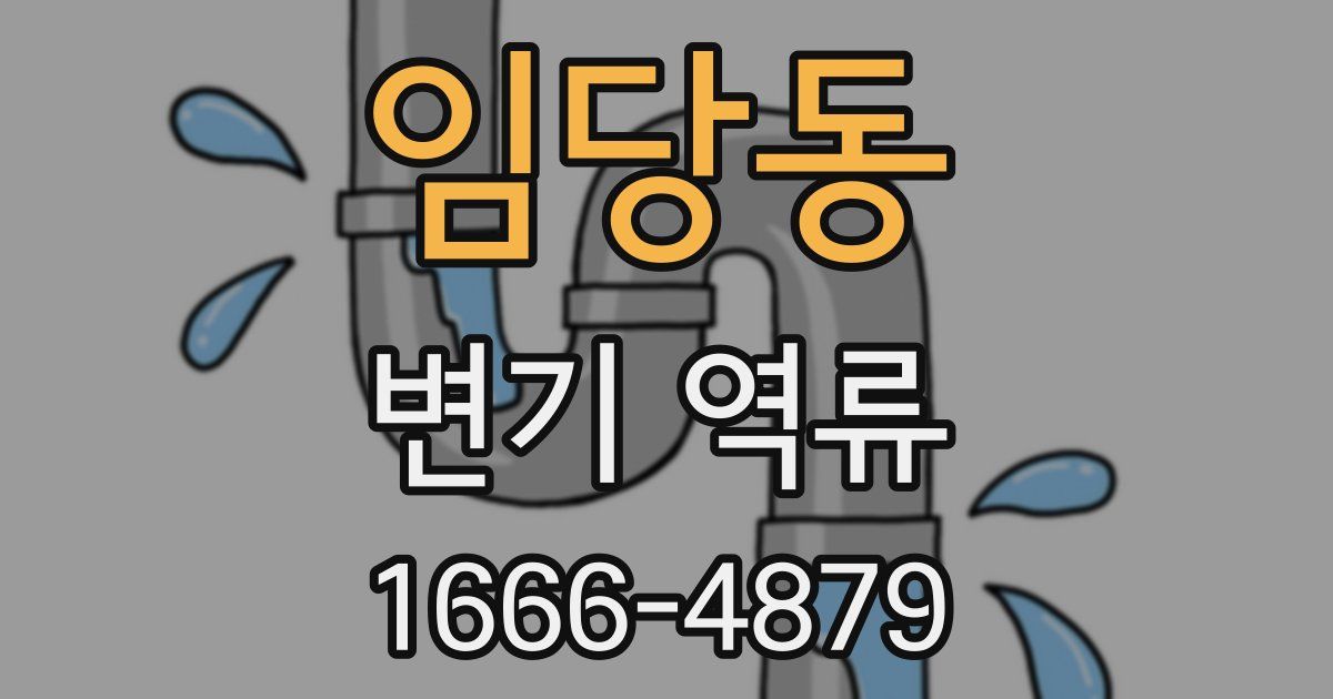 임당동 변기 역류