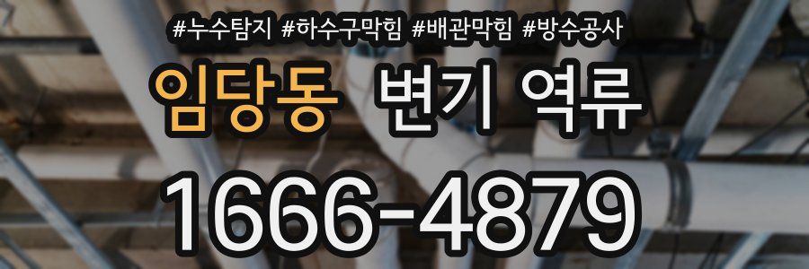 임당동 변기 역류