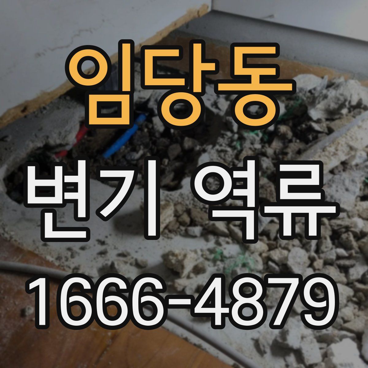 임당동 변기 역류