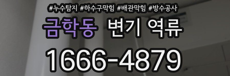 금학동 변기 역류