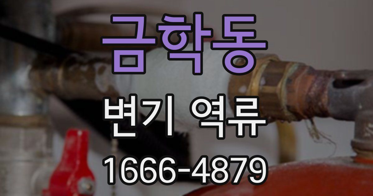 금학동 변기 역류