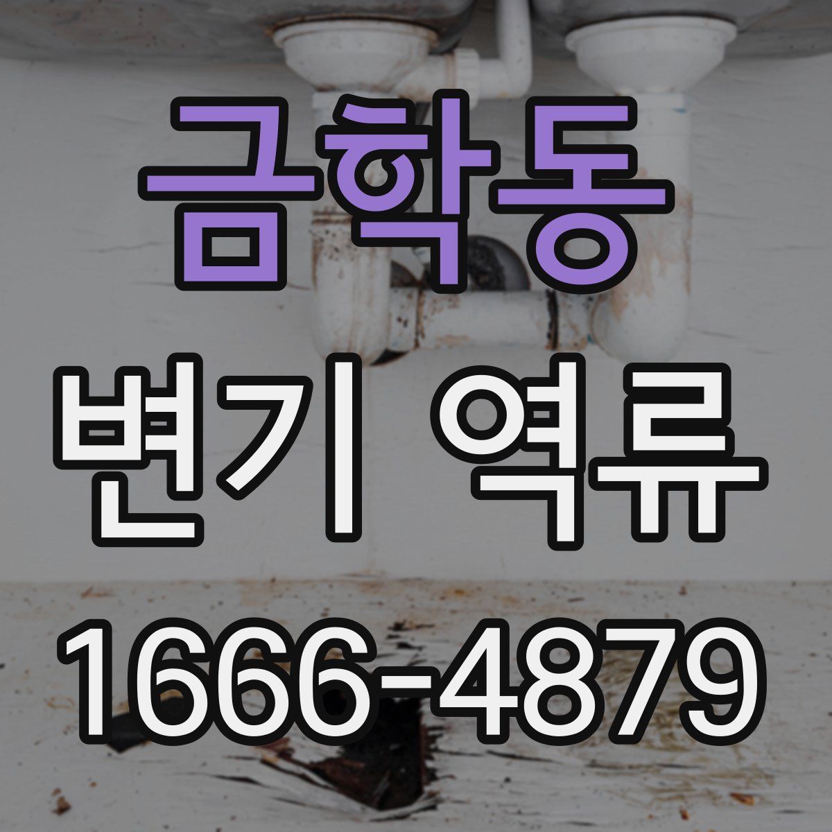 금학동 변기 역류