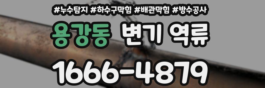 용강동 변기 역류