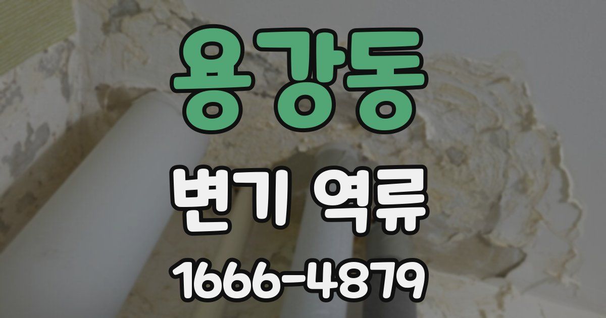 용강동 변기 역류