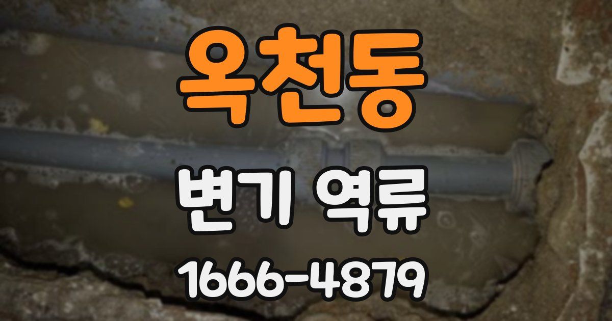 옥천동 변기 역류