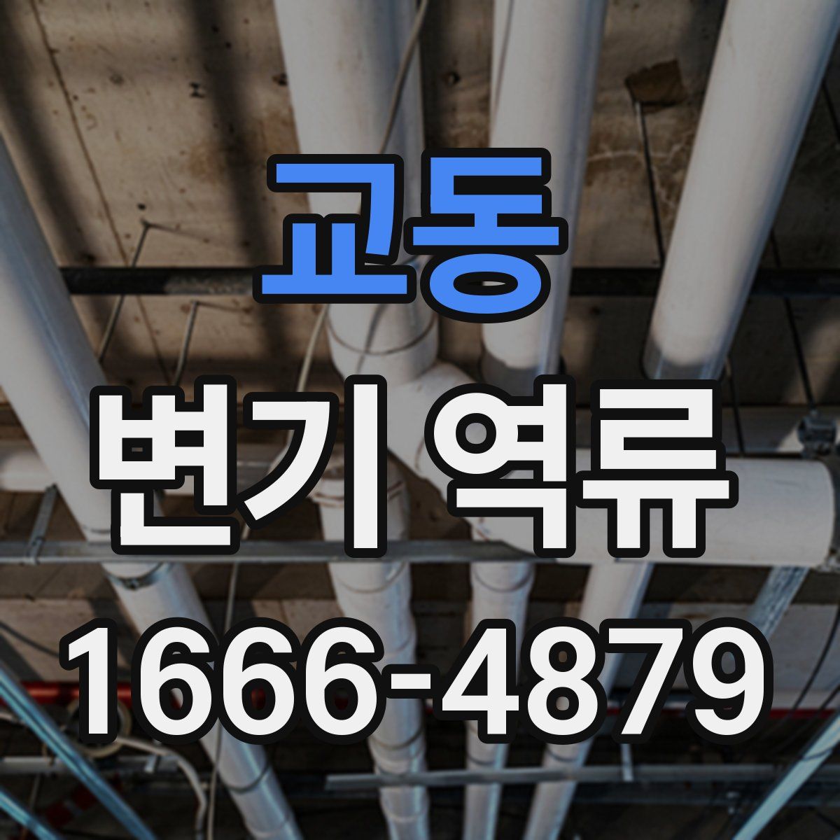 교동 변기 역류
