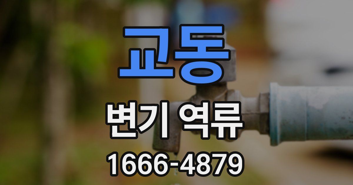 교동 변기 역류