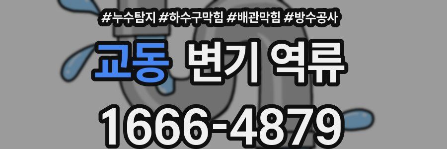 교동 변기 역류