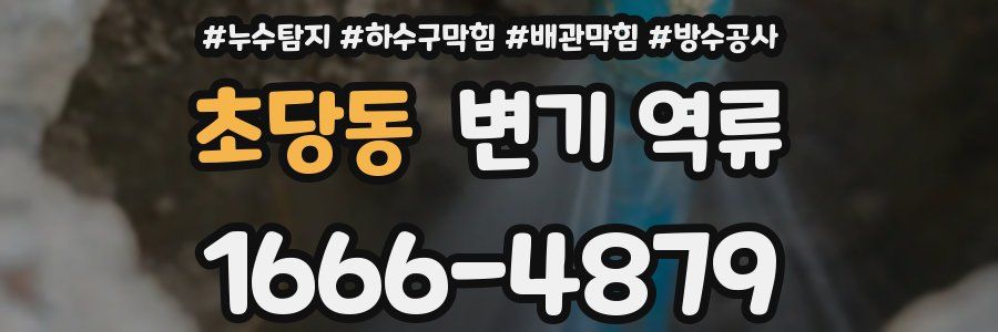 초당동 변기 역류