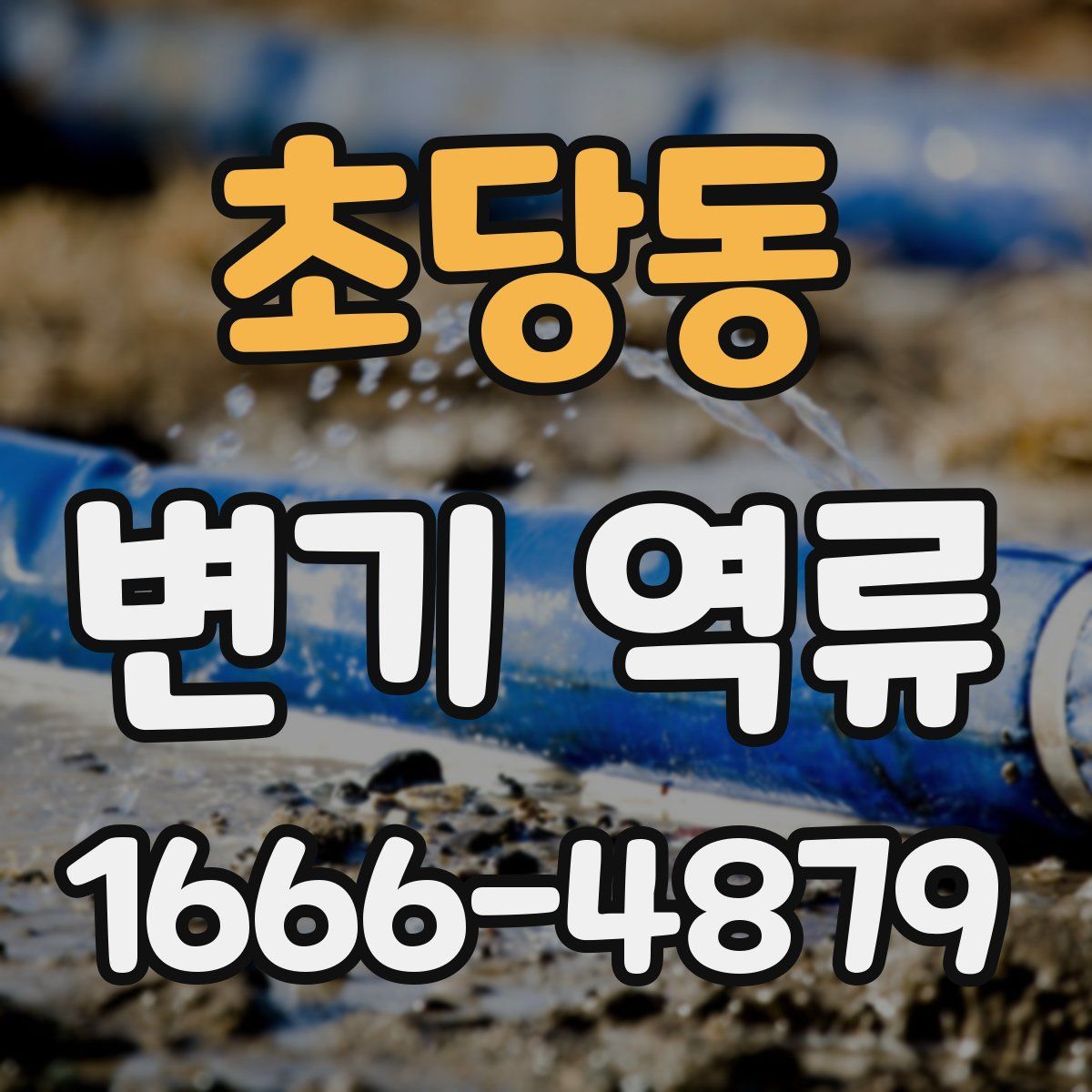 초당동 변기 역류