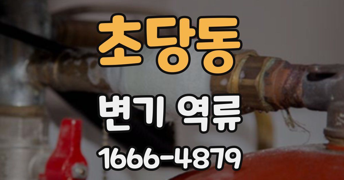 초당동 변기 역류