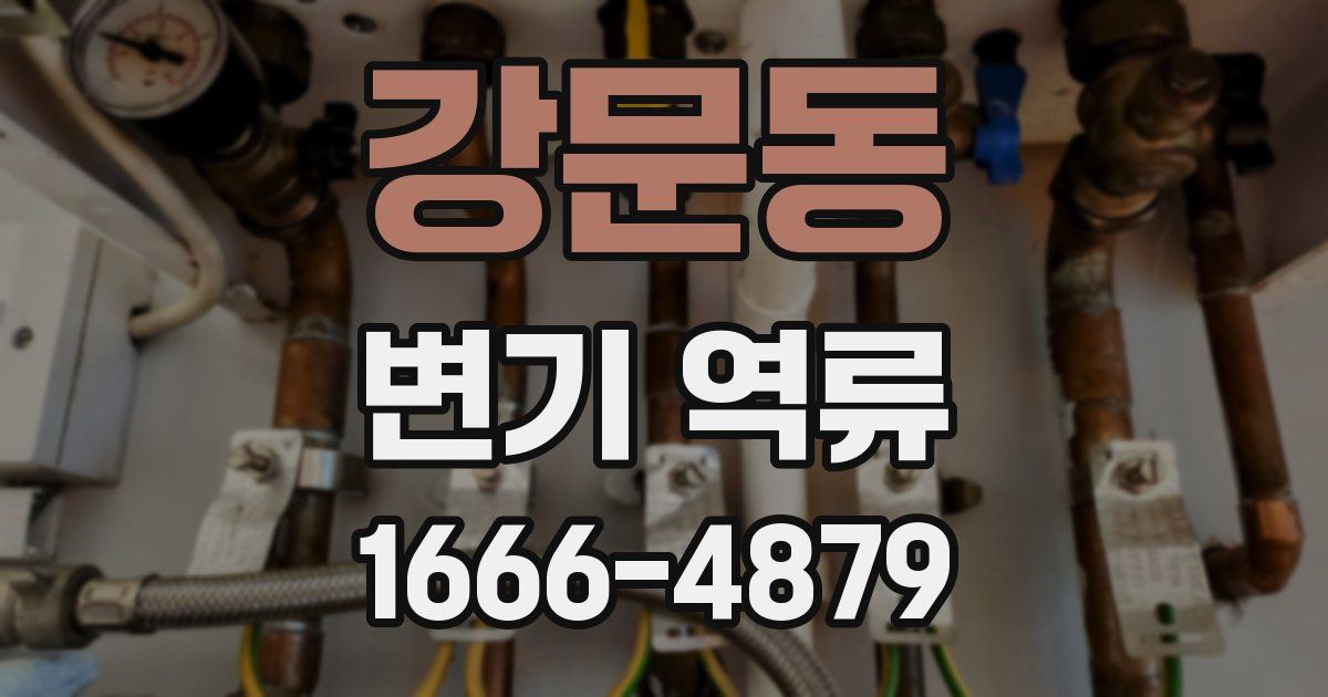 강문동 변기 역류