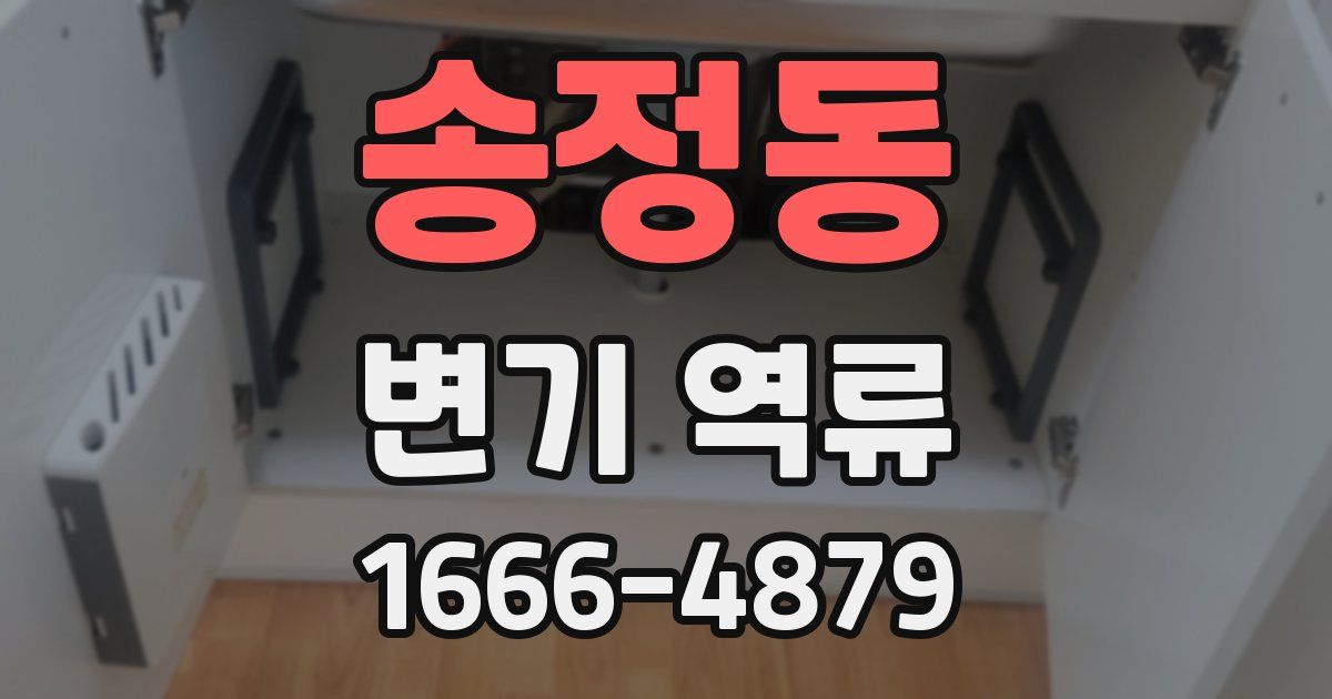 송정동 변기 역류