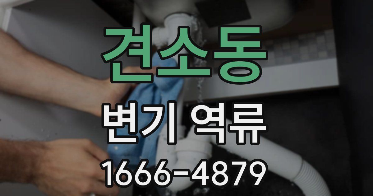 견소동 변기 역류