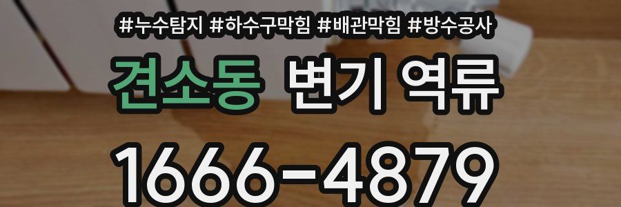 견소동 변기 역류