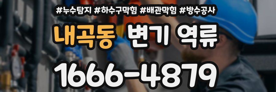 내곡동 변기 역류