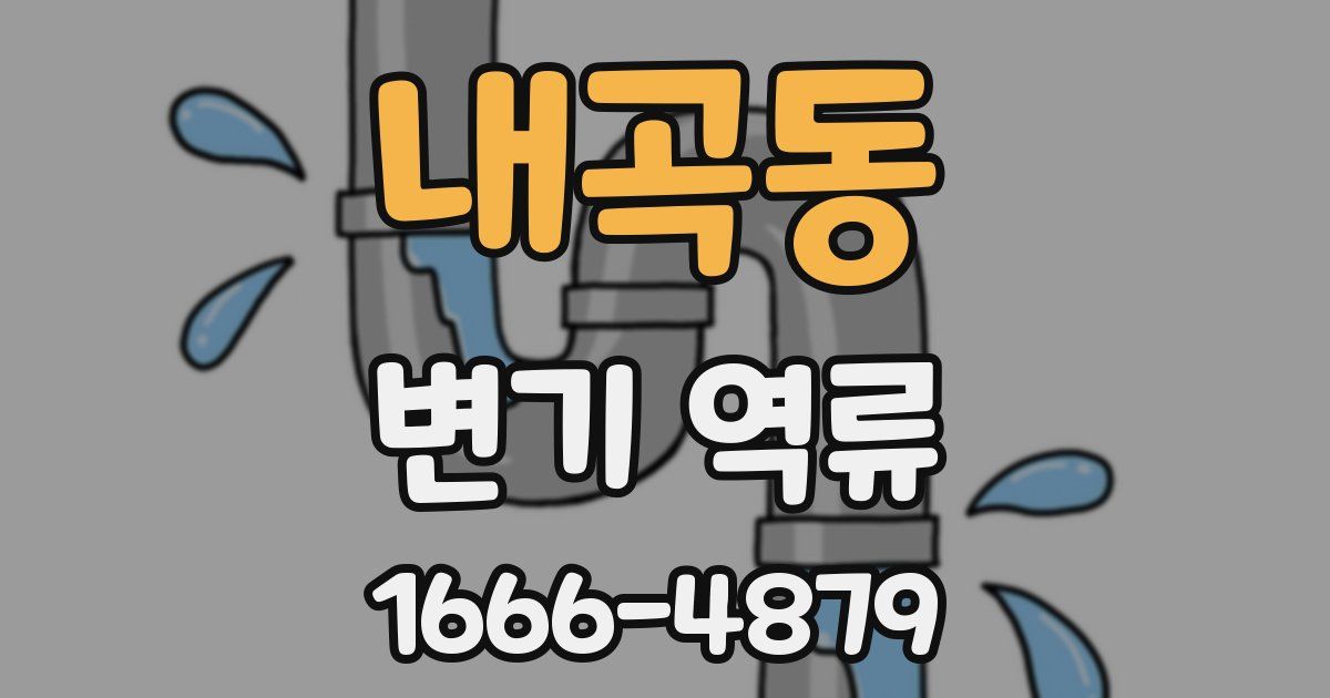 내곡동 변기 역류