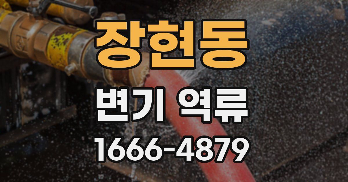 장현동 변기 역류