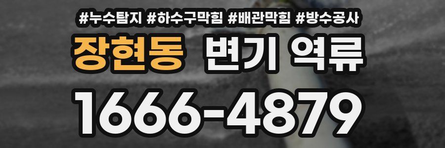 장현동 변기 역류