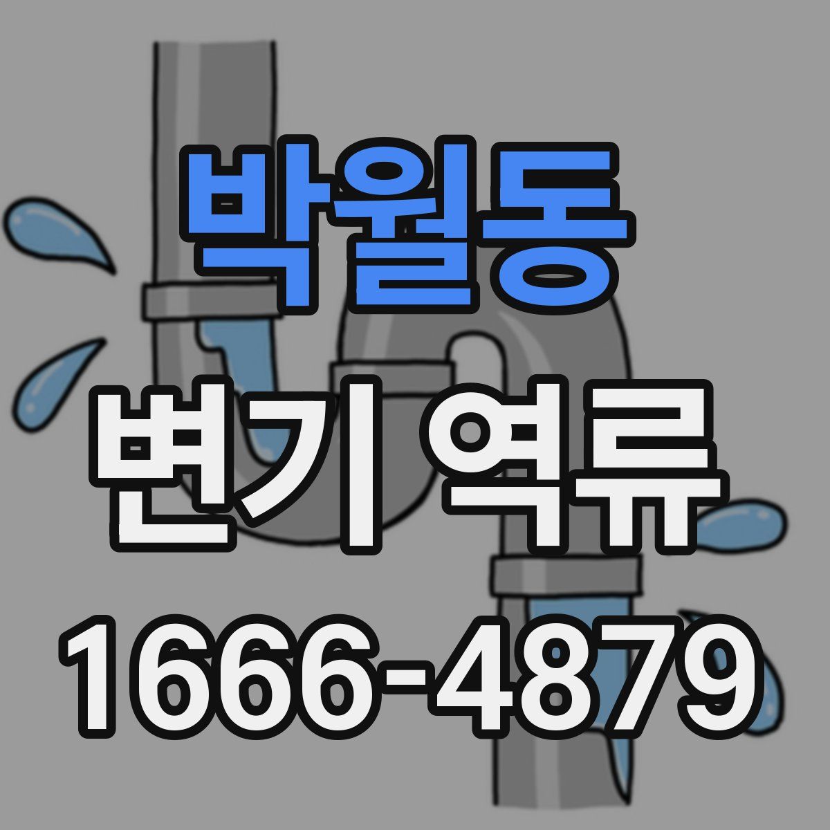 박월동 변기 역류