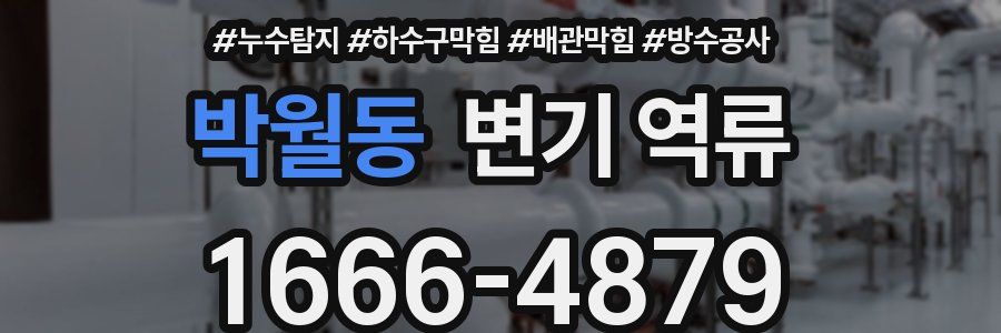 박월동 변기 역류