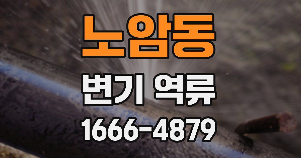 노암동 변기 역류