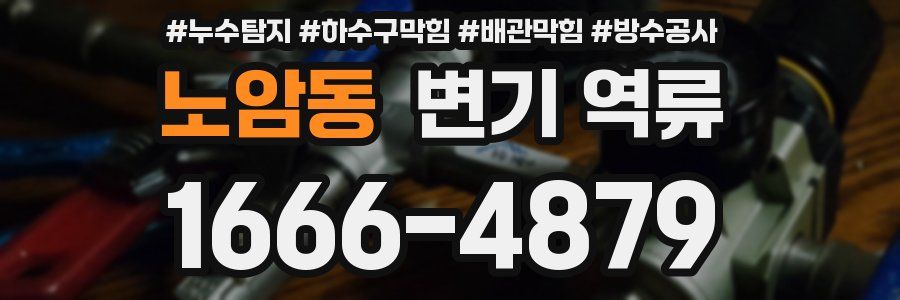 노암동 변기 역류