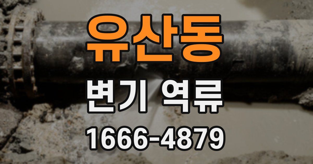 유산동 변기 역류