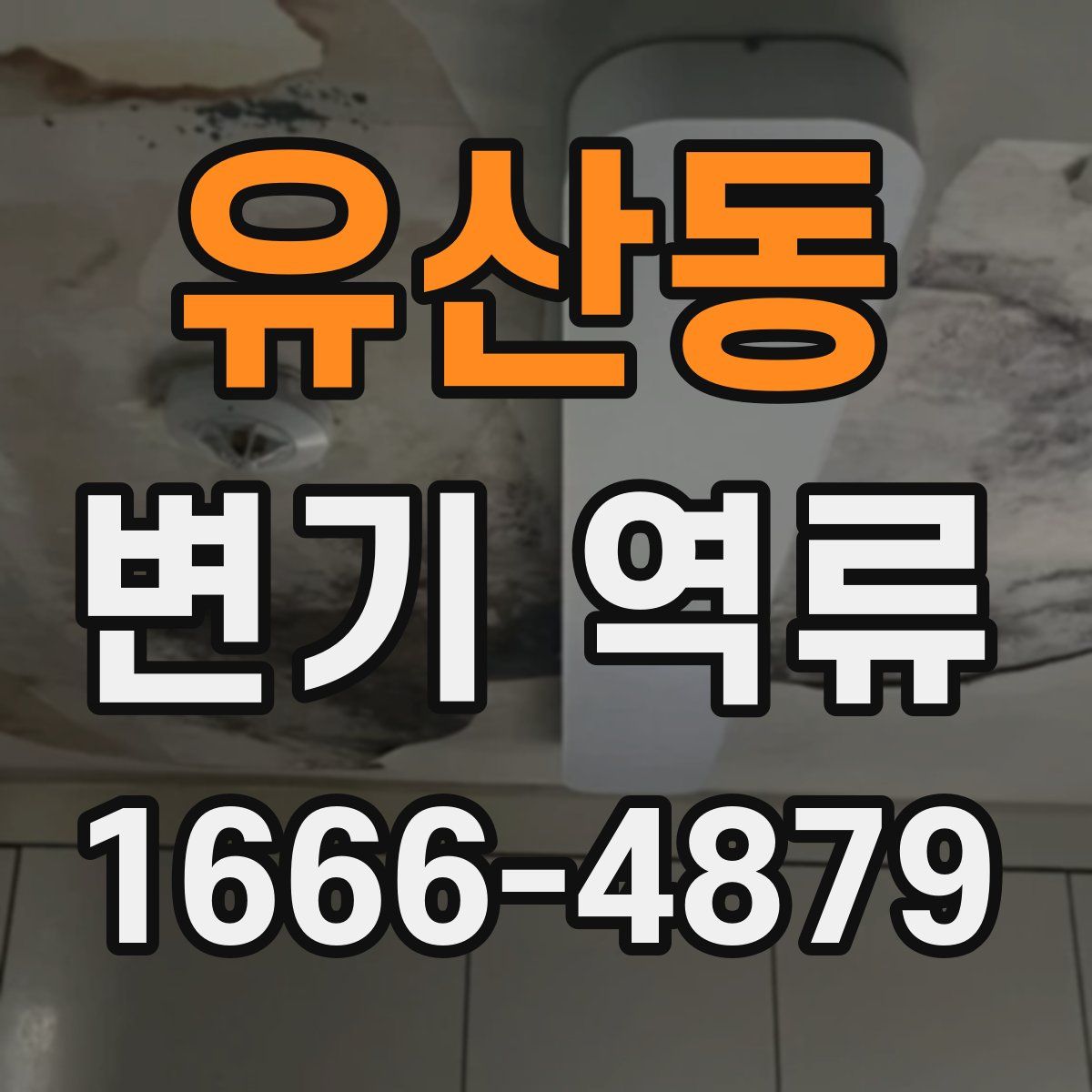 유산동 변기 역류
