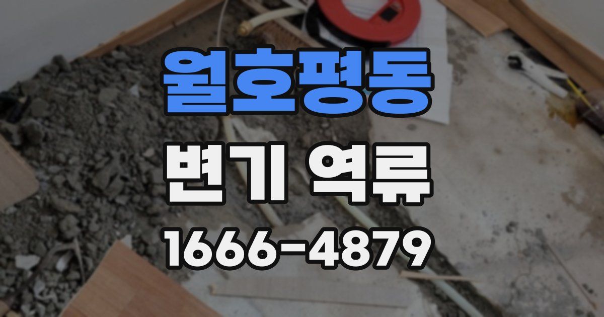 월호평동 변기 역류