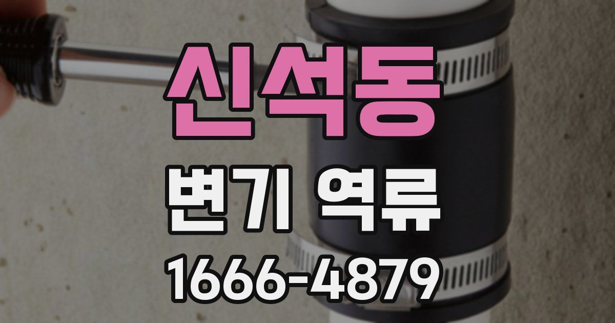 신석동 변기 역류