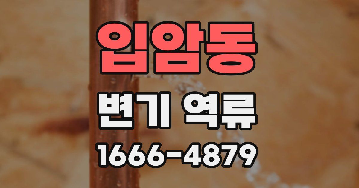 입암동 변기 역류